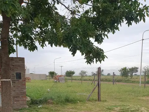 Terreno en Venta 40  mts Fondo