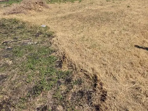 Severo del Castillo 3800