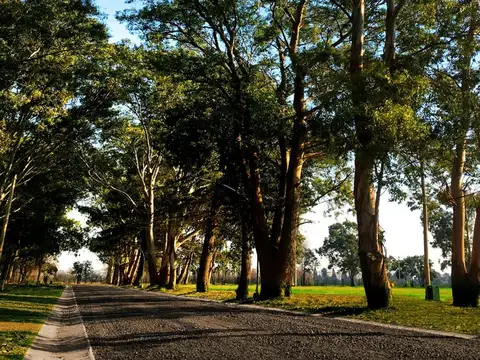 Terreno en Venta en San Nicolas De Los Arroyos, USD 48.600