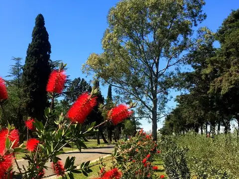 Terreno en Venta de 861,0 m2