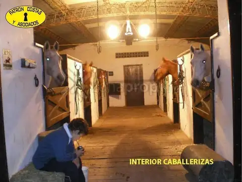 Rivadavia 800 - Open Door - Luján