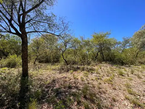 Terreno en Venta de 5369,0 m2