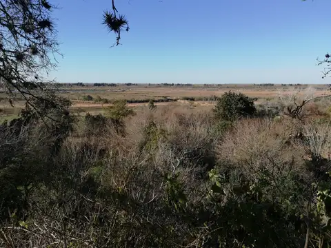 Terreno en Venta en Barrio el Cazador, USD 260.000