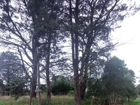 Terreno en Venta de 256,0 m2