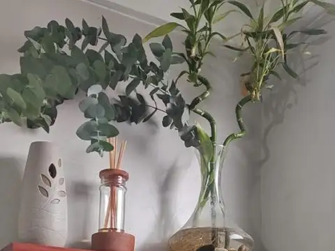 Departamento en Venta en Don Bosco, USD 59.000