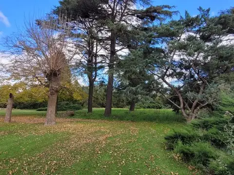 Venta campo quinta permuta 3 hectáreas en Pilar