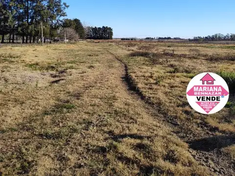 Campo 18has Agrícolas + 2 Casas - Baradero