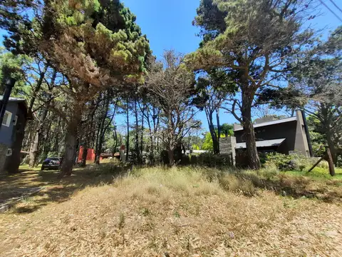 Terreno en Venta de 589,0 m2