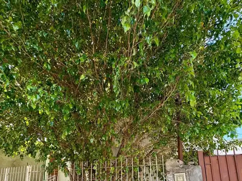 A la Venta PH a Refaccionar en Villa Domínico