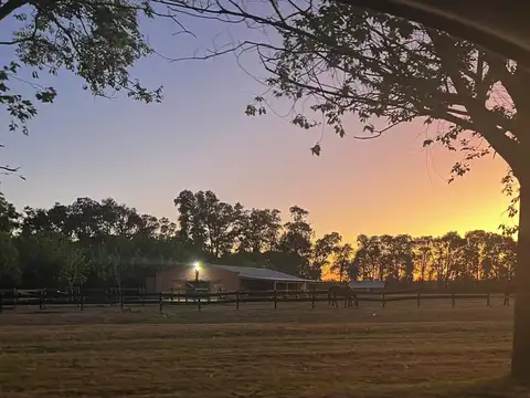 Excelente Terreno lote Central