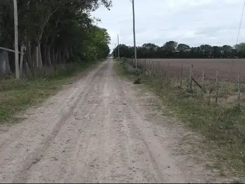 Panamericana alt KM100