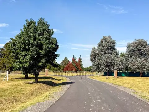 Mirabosques Los Cardales Ruta 6 -