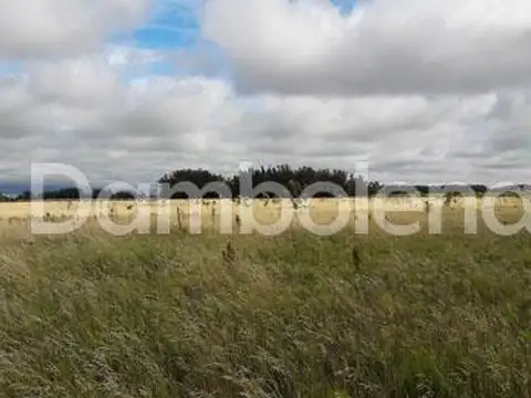 Camino provincial secundario 134-01 100