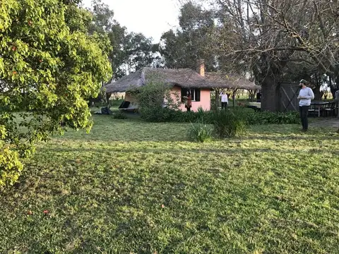 Campo 49has Ganadero Agricola