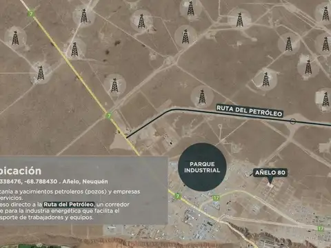 Añelo 80 - Neuquén