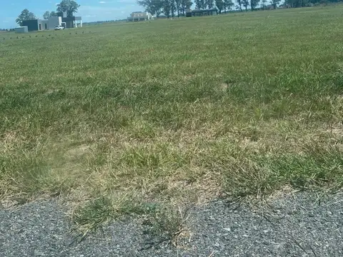 Venta Lote Barrio Tres Pinos - Barrio Norte - Lote 220