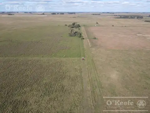 Campo Mixto de 280 Has en venta . Acceso sobre asfalto en Ranchos