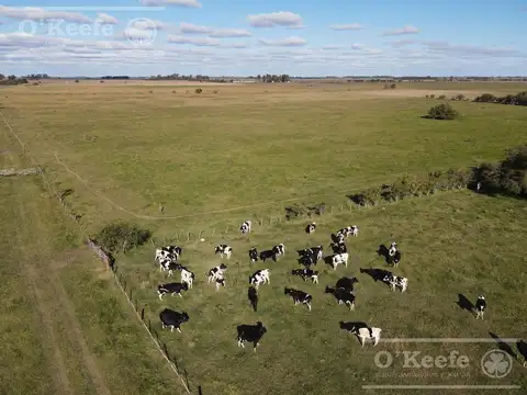 Campo Mixto de 280 Has en venta . Acceso sobre asfalto en Ranchos