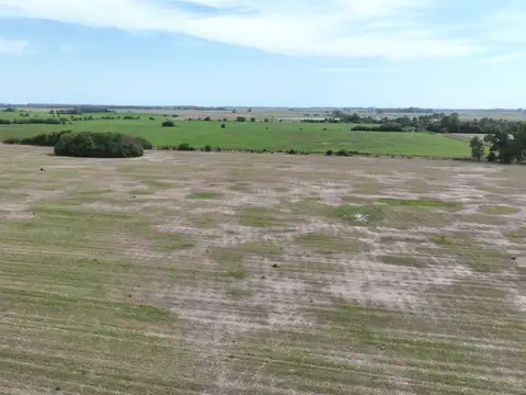 Campo en Carmen de Areco