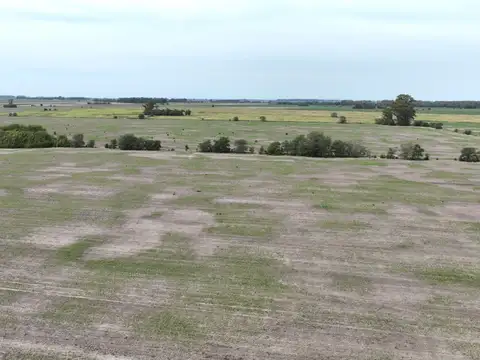 Campo en Venta Agrícola