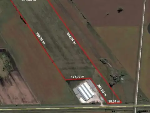 VENTA DE 20 HECTAREAS  - ALVEAR - OPORTUNIDAD