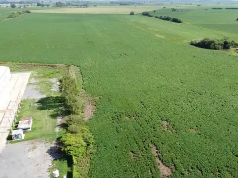 VENTA DE 20 HECTAREAS  - ALVEAR - OPORTUNIDAD