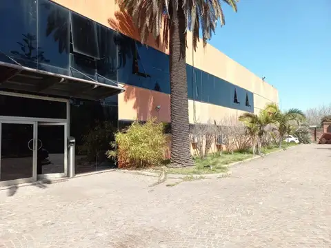 Carlos Pellegrini  al 3400