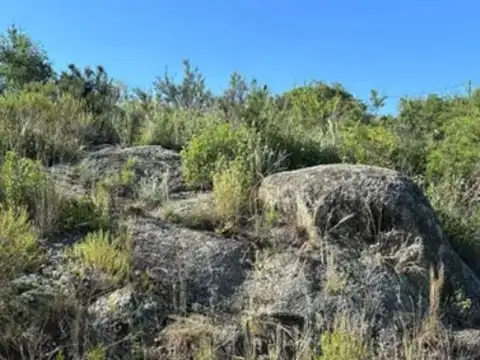 LOTE 149, MANZANA 452