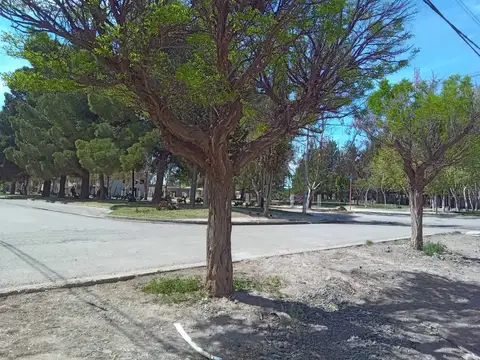 VENTA DE EXCELENTE TERRENO EN ZONA COMERCIAL