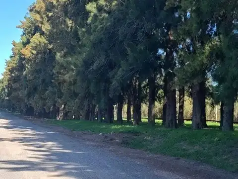 VENTA LOTE EN BARRIO EL CAMPO FINCAS EXCLUSIVAS CARDALES PERMUTA