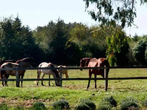 Terreno en Venta en Barrio El Campo - Fincas Exclusivas Cardales, USD 62.000