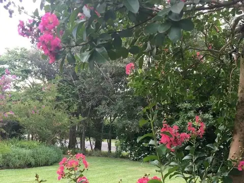 Casa en Alquiler con 1 cochera