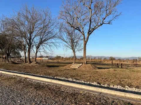 Terreno en Venta de 300,0 m2