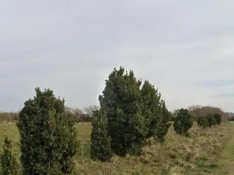 Campo en venta - 2.420.000Mts2 - Mechongué