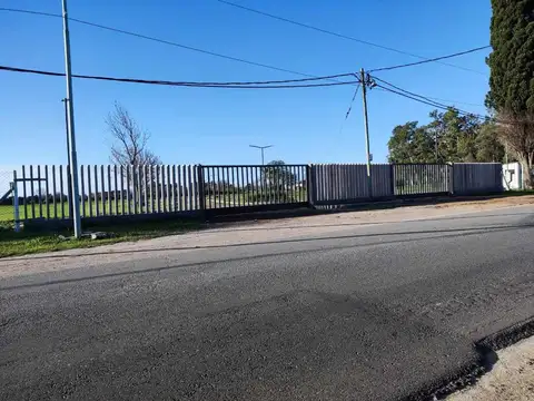 Avenida Montevideo e/ 69 y 71