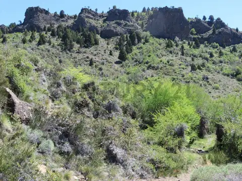 Ruta provincial 40 100