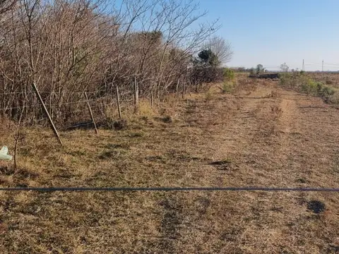 AUTOPISTA ROSARIO-BUENOS AIRES