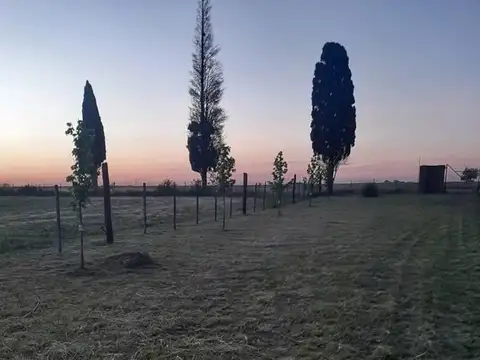 Villa Constitucion, campo 2.1 hectareas, casa 1 dormitorio