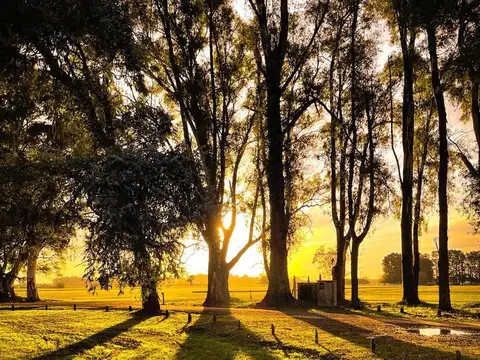 LOTE EN CHACRAS DE SAN ANDRES