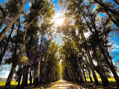 Bernardino Rivadavia