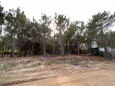 Terreno - Venta - Argentina, Pinamar