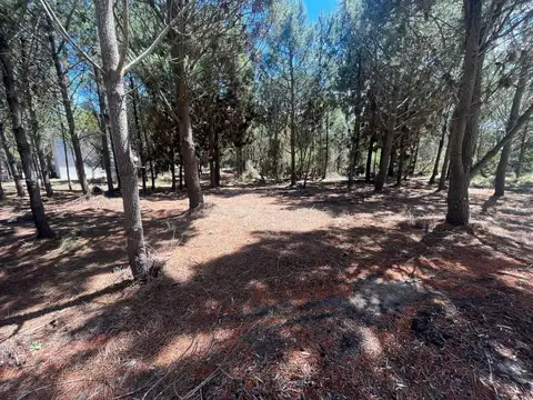 Terreno en Venta en Pinamar, USD 180.000