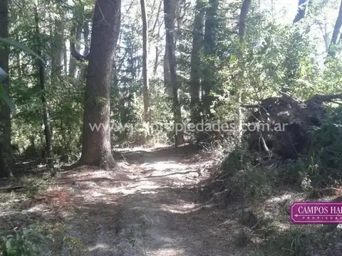 Terreno en Venta, FOT 20