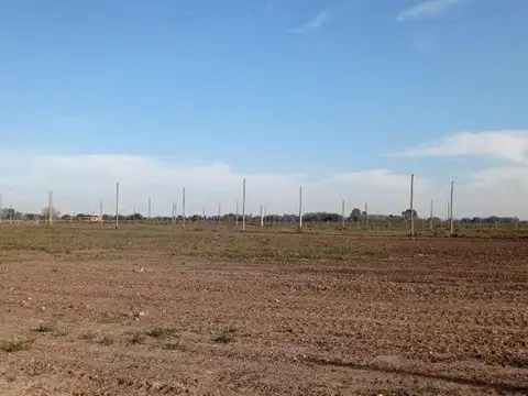 Siempre Verde -  22 y 600