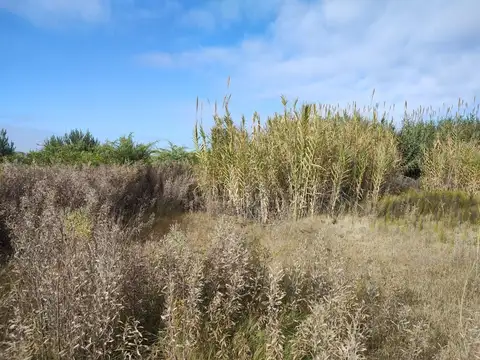 Terreno en Venta de 500,0 m2