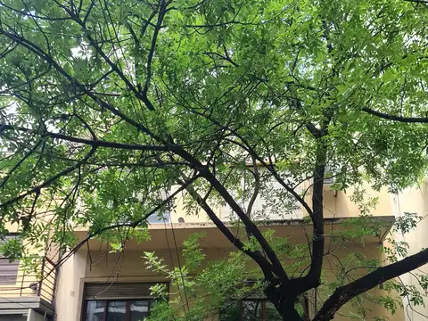 Salguero al 500 y Corrientes, Almagro. Piso 1 x escalera. Al frente. 2 ambientes. 64 m2. Impecable estado. Apto crédito. Apto profesional