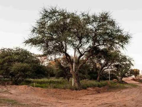 Terreno Loteo La Macarena, Lote 13 Mza 25