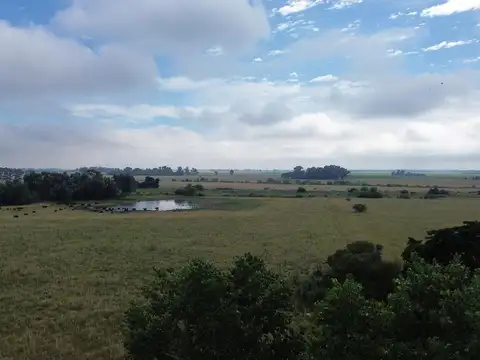 CAMPO EN VENTA CON MEJORAS CERCADO TOTALMENTE Y DOS ACCESOS POR RUTA 41 Y POR RUTA 3