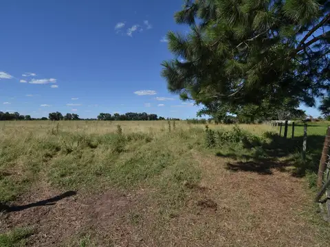 CAMPO EN VENTA CON MEJORAS CERCADO TOTALMENTE Y DOS ACCESOS POR RUTA 41 Y POR RUTA 3