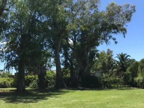 Terreno en Venta 31  mts Fondo